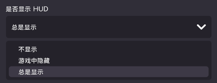 HUD 显示开关